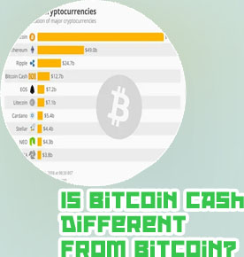 Bitcoin cash market cap