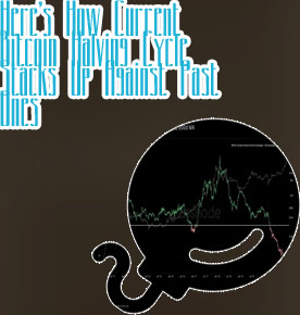 Bitcoin one percent controls all