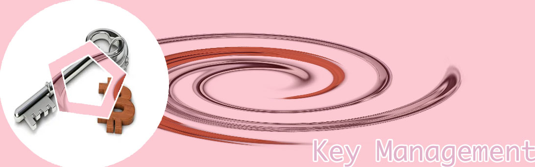Crypto key