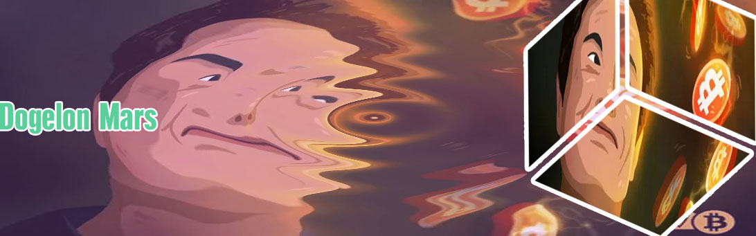 Elon crypto